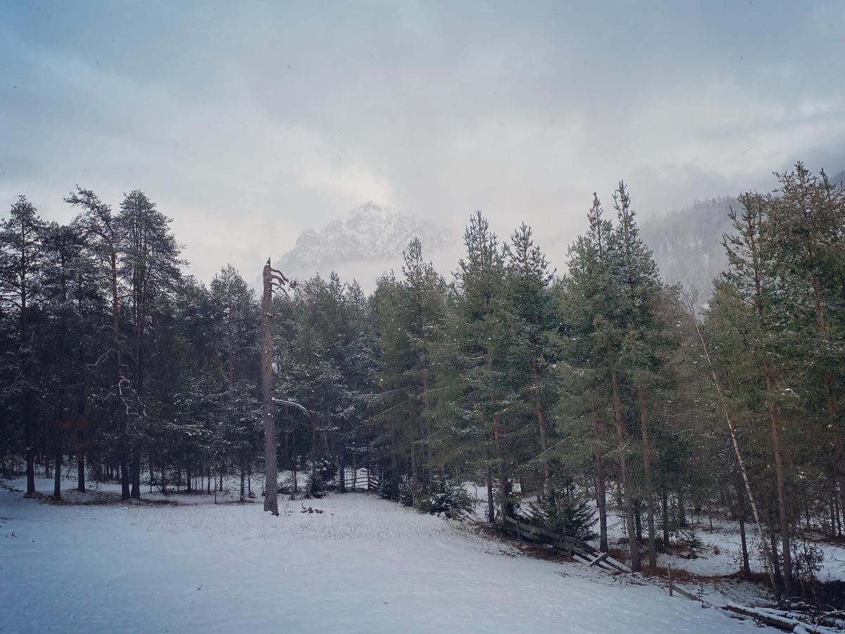 Les Ciases Chalets Dolomites 산 비질리오 디 마레베 외부 사진